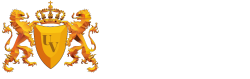 Vizja University
