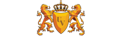 Vizja University