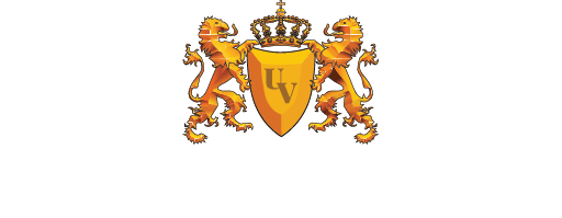 Uniwersytet Vizja