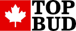 Top Bud